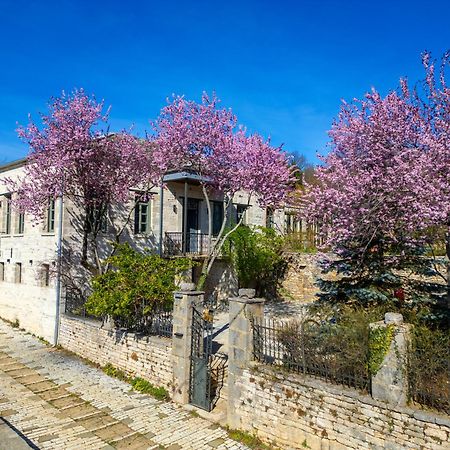 ホテル Katikia Zagori ビッツァ エクステリア 写真