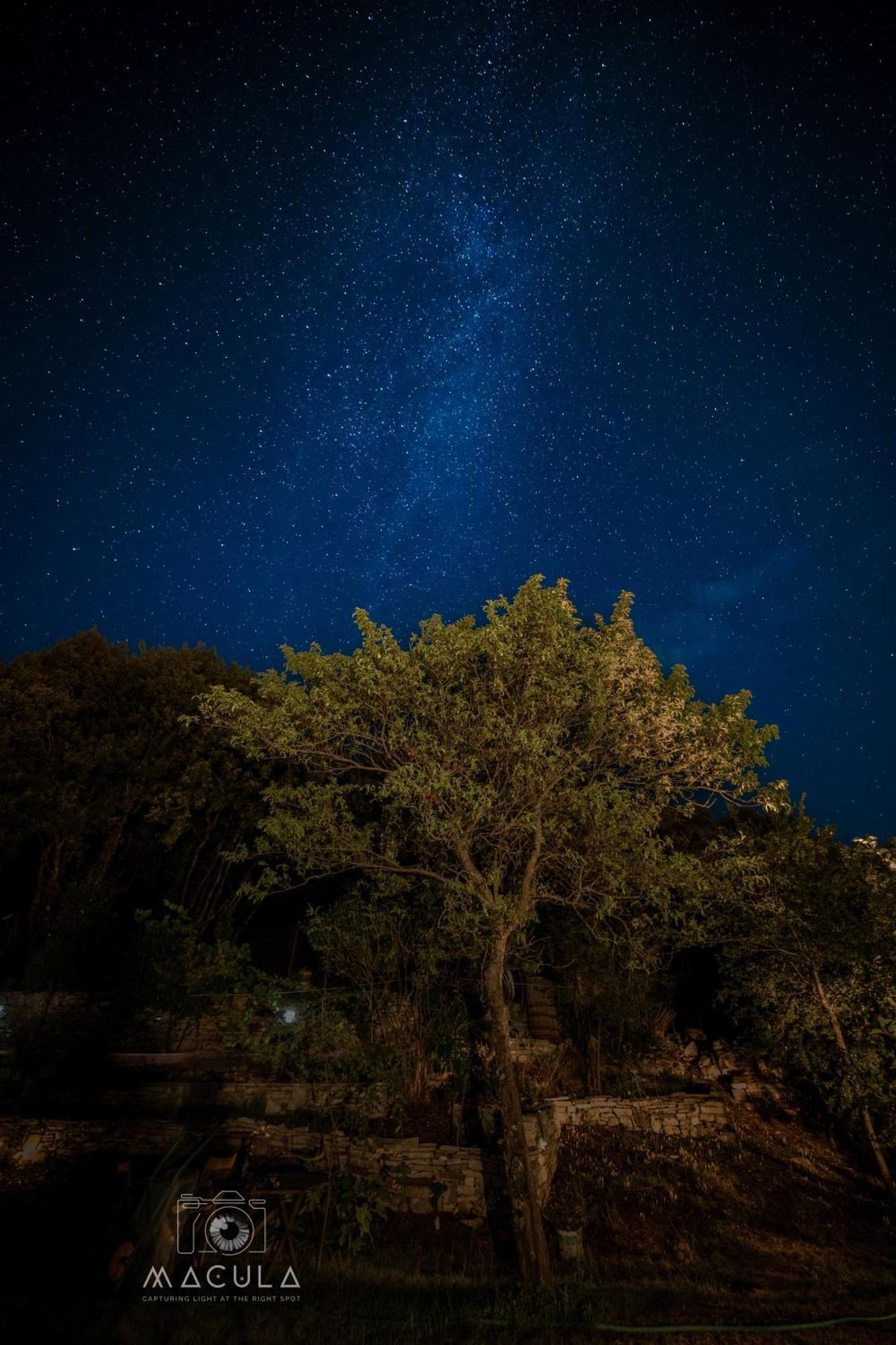 ホテル Katikia Zagori ビッツァ エクステリア 写真
